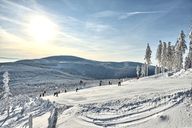 Sudetes Sudetes