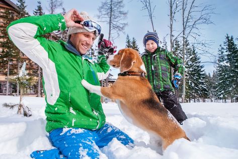 Séjours ski avec chien - Hôtels de ski & appartements de vacances accueillant les chiens