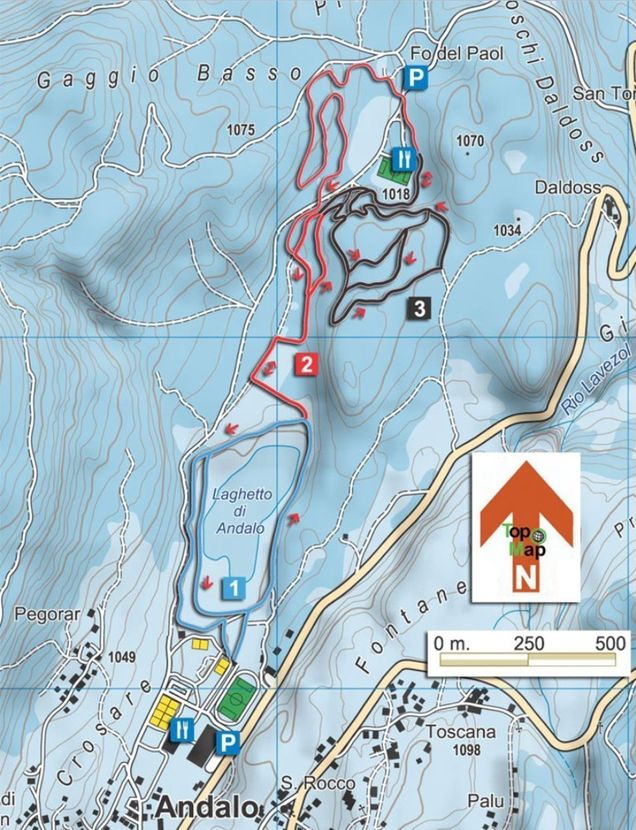 Plan des pistes de ski de fond Andalo 