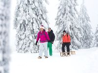 Skigebiet Glottertal, Deutschland