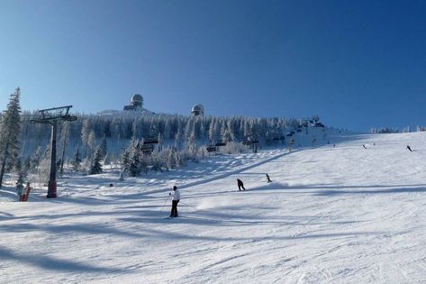 Forêt de Bavière