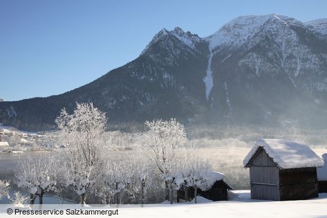 Górna Austria