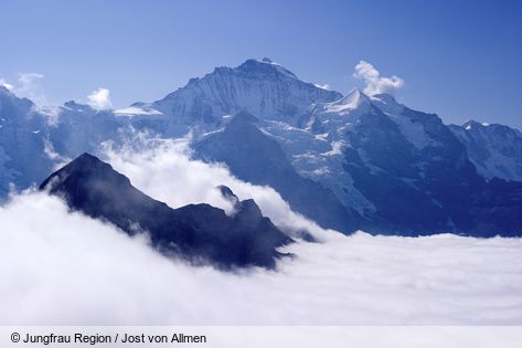 Oberland bernés