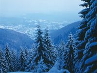 Skigebiet Wurzbach, Deutschland