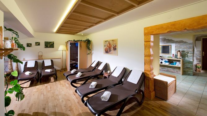 Hotel Wiesenegg - Apartment - Kitzbühel