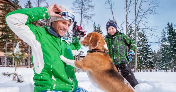 Skiurlaub Winterurlaub Mit Hund Hundefreundliche Skihotels