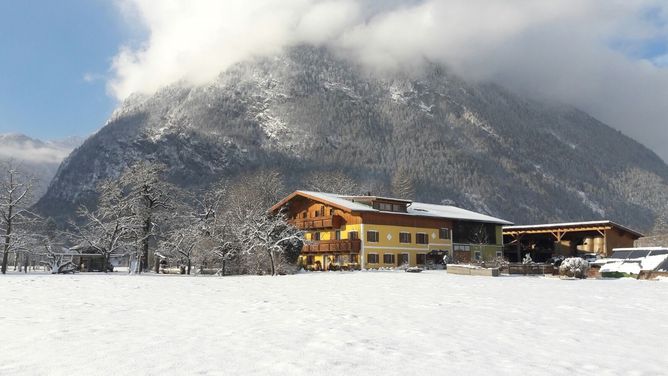 Biobauernhof Starbauer in Golling (Österreich)