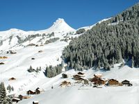 Skigebied Damüls, Oostenrijk