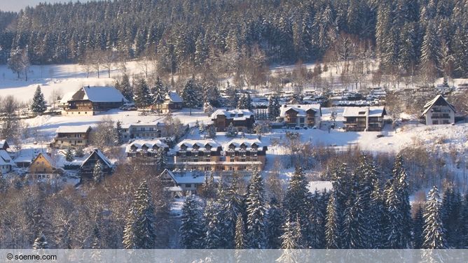 Boutique-Hotel Alemannenhof in Hinterzarten (Deutschland)