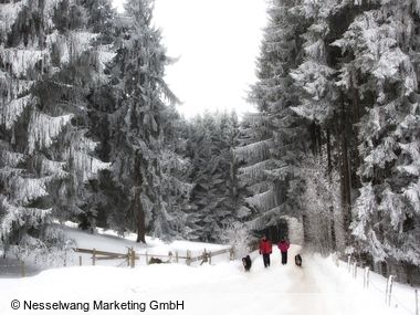 Allg&auml;u