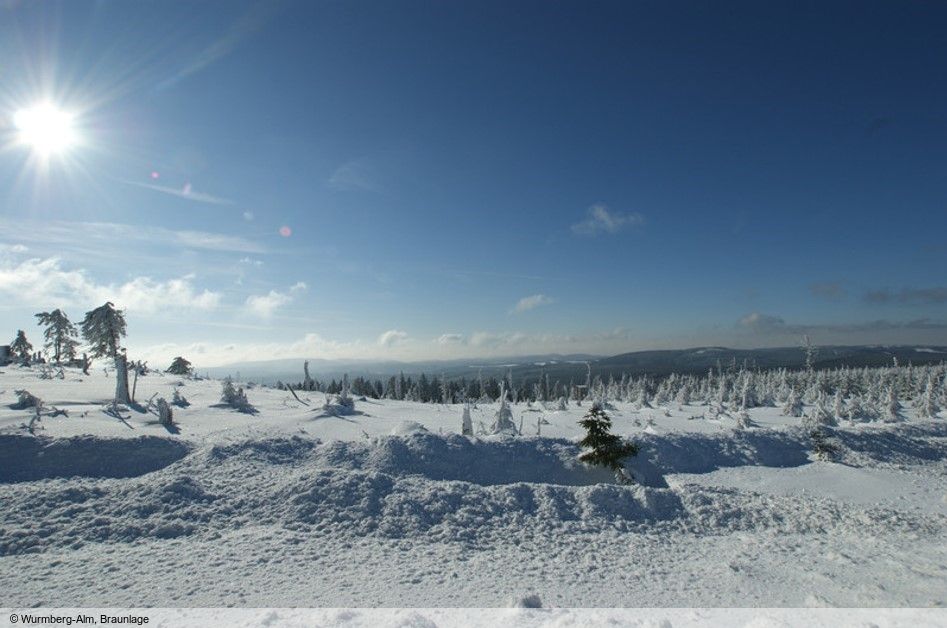 Harz