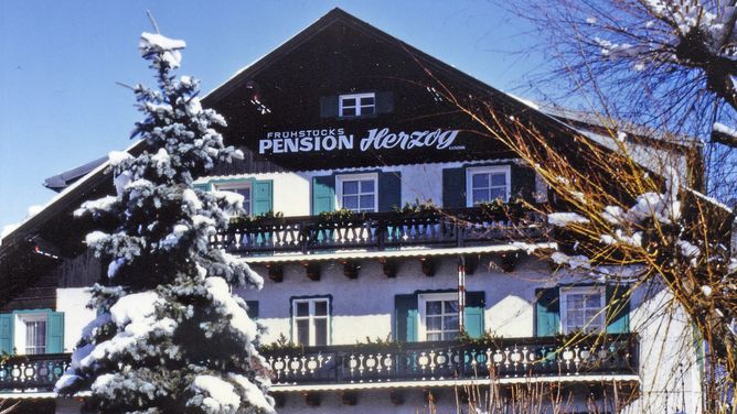 Pension Herzog in Zell am See (Österreich)