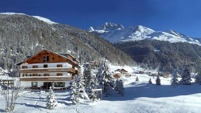 Meer info over Hotel Alpenhof  bij Wintertrex