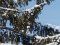 Wintersport vakantie skivakantie Oostenrijk Tirol Zillertal Zell am Ziller (Zillertal) Appartementhaus Schneeberger