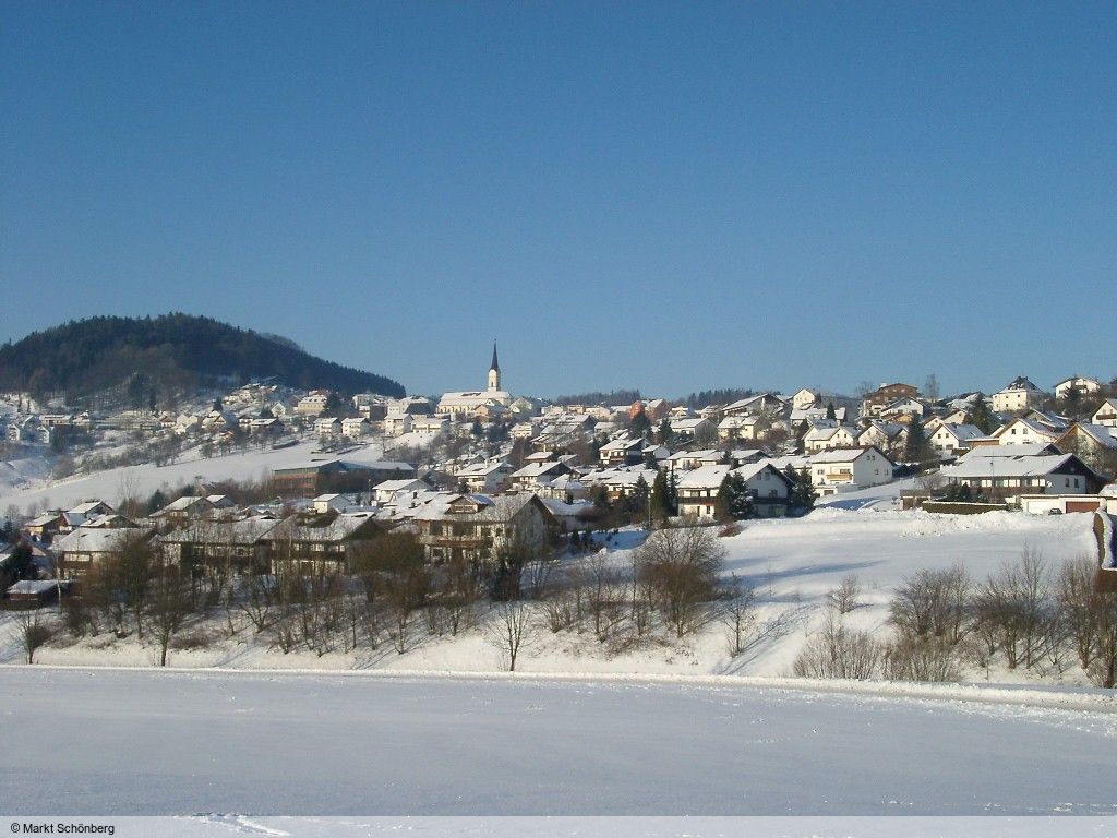 Sch&ouml;nberg
