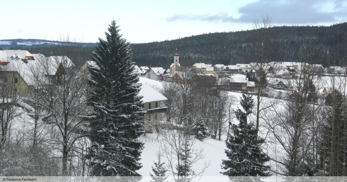 Fischbach Schigebiet Pistenplan Schanzlift Fischbach