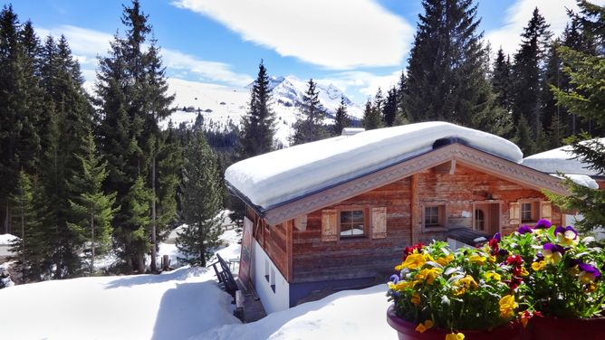 Ferienappartments Astn Hütten  in Wald-Königsleiten (Österreich)