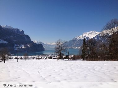 Aanbiedingen wintersport Brienz inclusief skipas