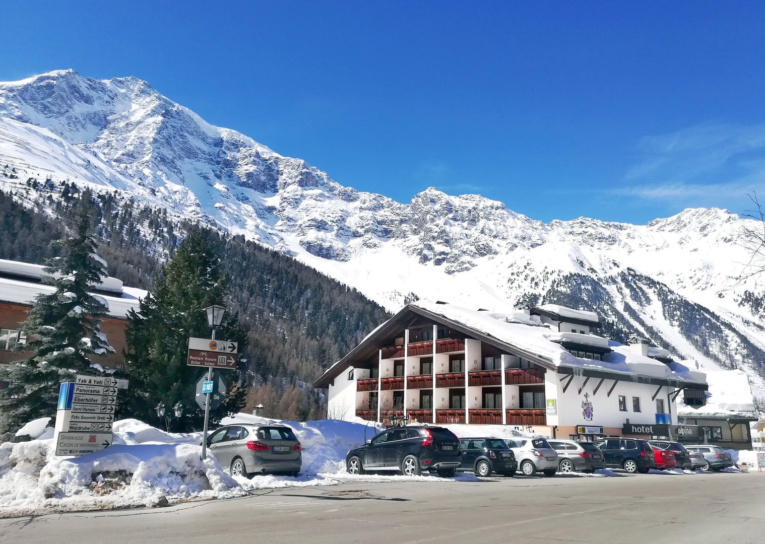 Hotel Alpina Mountain Resort