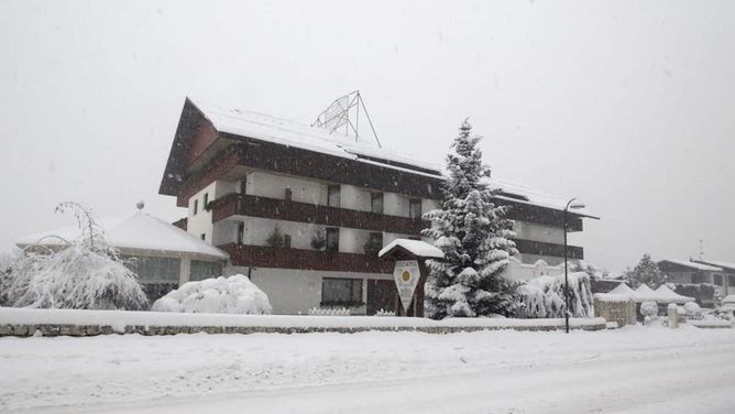 Hotel Olympic Royal in Pinzolo (Italien)