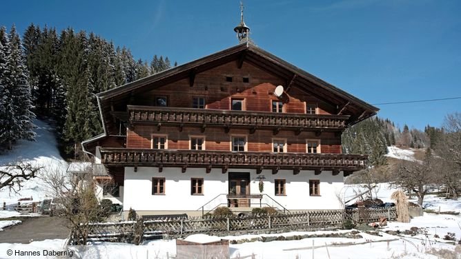 Boerderij Appartement Treichlbauer in Kelchsau (Oostenrijk)