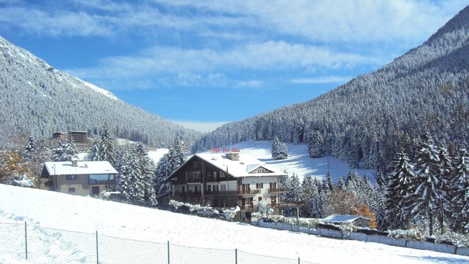 Hotel Des Alpes