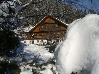Appartements & Chalet Dorfschenke