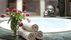 Hotel Maiensee – Ski in & Ski out