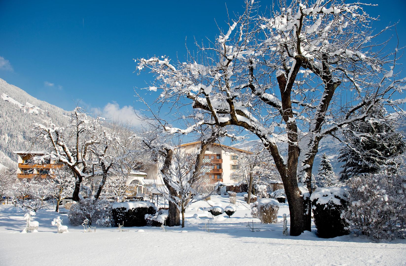 Geweldige wintersport Zillertal ❄ Landgut Zapfenhof