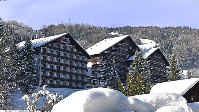 Unterkunft Alpenhotel Dachstein, Bad Goisern, 