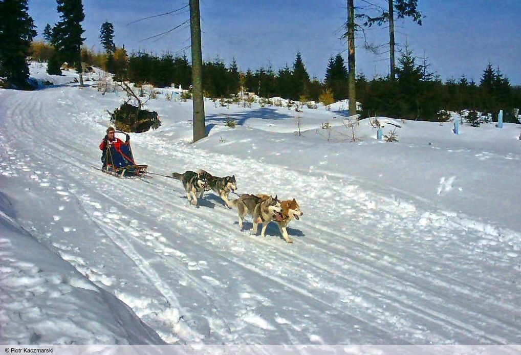 Krkono&scaron;e