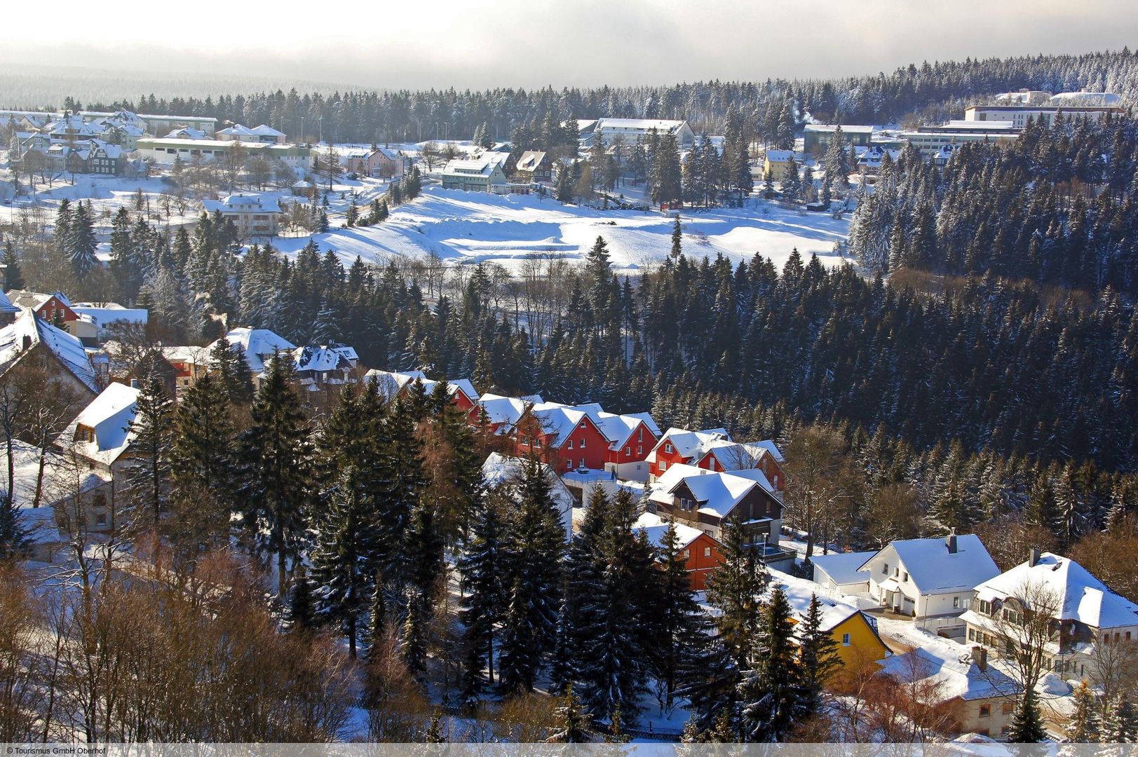 Durynsk&yacute; les