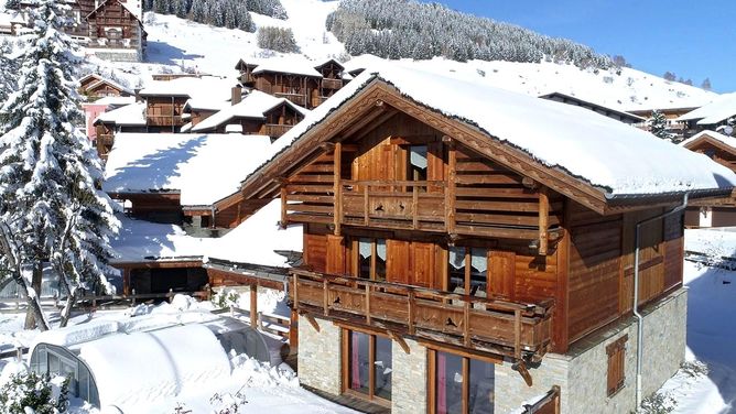 Unterkunft Chalet Le Loup Lodge, Les 2 Alpes, Frankreich