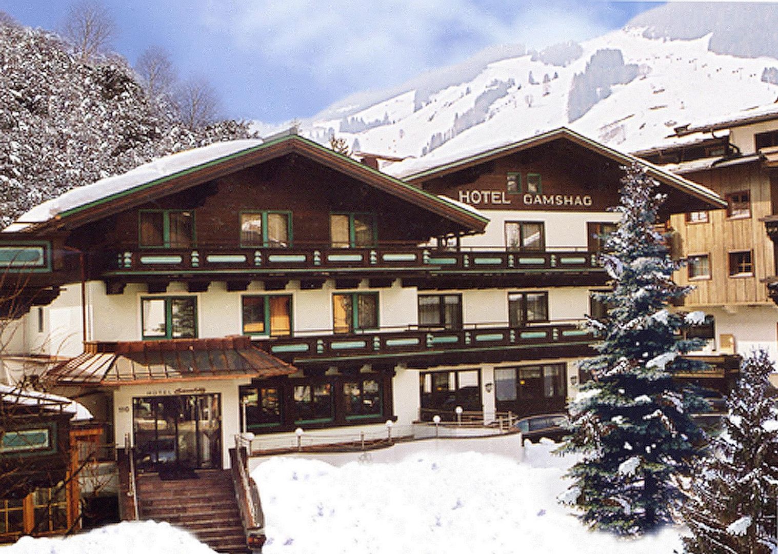 Meer info over Hotel Gamshag  bij Wintertrex