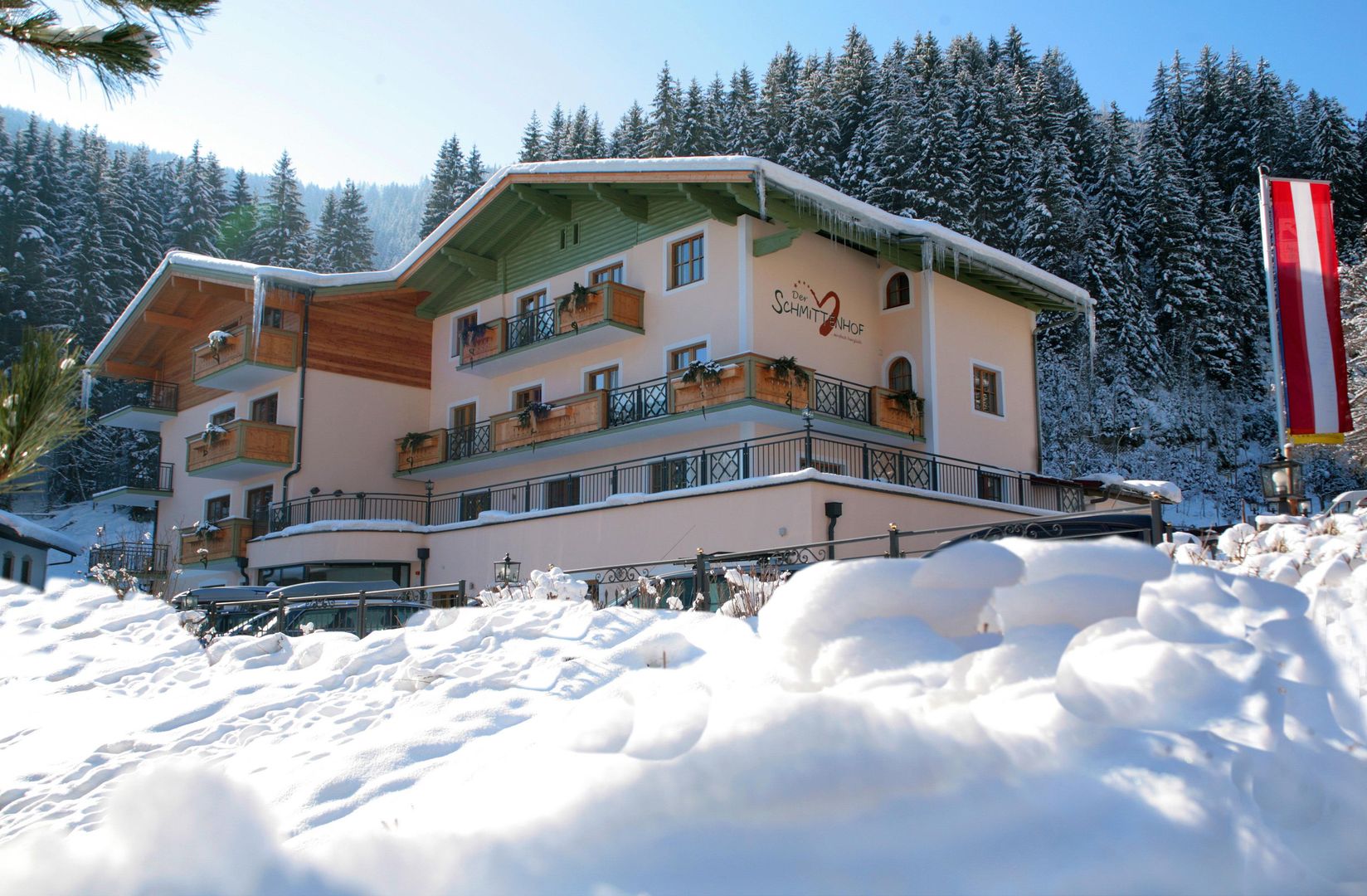 Meer info over Hotel Der Schmittenhof  bij Wintertrex