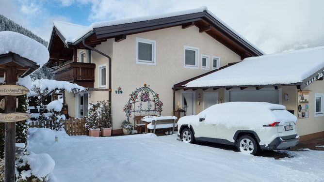 Appartement Das Taubenhaus in Hollersbach (Österreich)