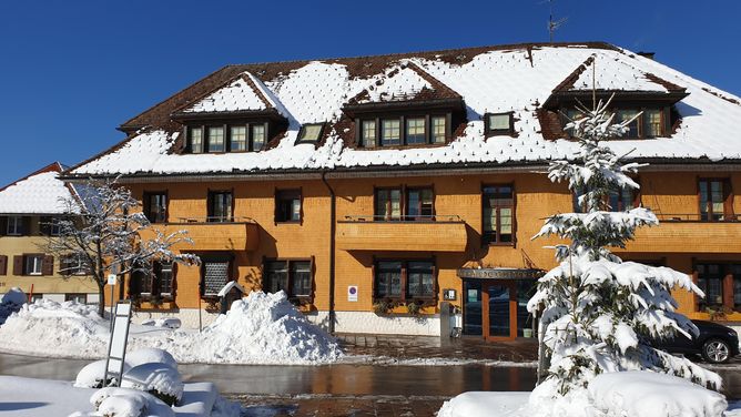 Bio- und Wellnesshotel Alpenblick in Bernau in het Zwarte Woud (Duitsland)