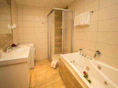 Appartement Flachauer Bergkristall