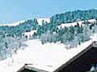Séjour ski vacances ski Autriche Land de Salzbourg Saalbach-Hinterglemm Saalbach Appartement Casa Alpina