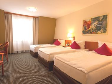Central Hotel L&ouml;wen