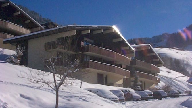 Résidence Le Hameau des 4 Saisons in Châtel (Frankrijk)