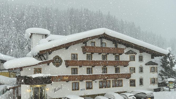 Meer info over Hotel Pension Waldhof  bij Wintertrex