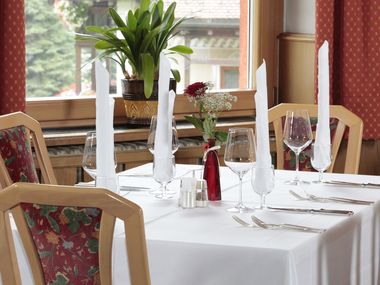 Hotel Alpino Plan