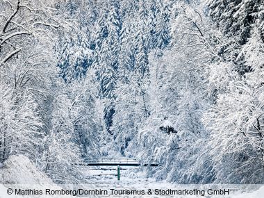 Dornbirn