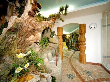 Hotel Apartments Alpenrose