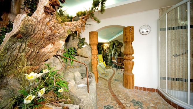 Hotel Apartments Alpenrose — photo 8