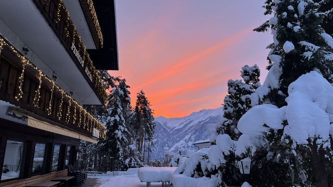 Pension &amp; Restaurant Alpina