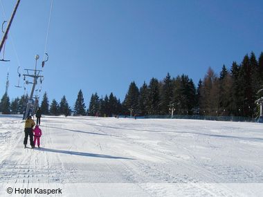 &Scaron;umava