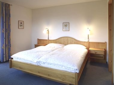 Hotel Alpina