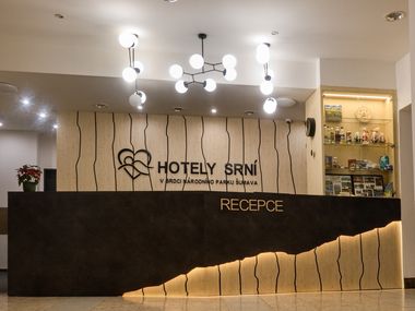 Hotel Srn&iacute;